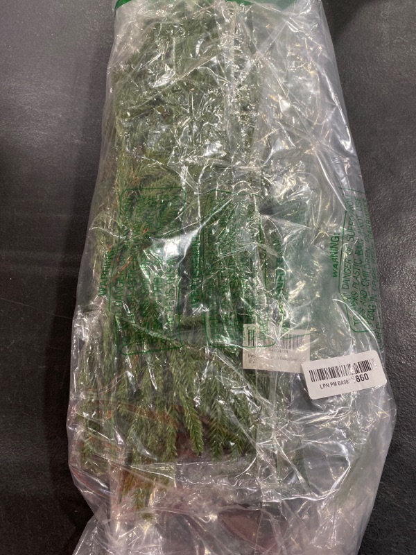 Photo 1 of HyeFlora 12PCS Christmas Norfolk Pine Stems, Real Touch 17 Inches Artificial Norfolk Pine Branches with 5 Big Pinecone Stems Faux DIY Greenery Pine Picks Plastic for Indoor Outdoor Home Décor DOES NOT COME WITH PINECONES