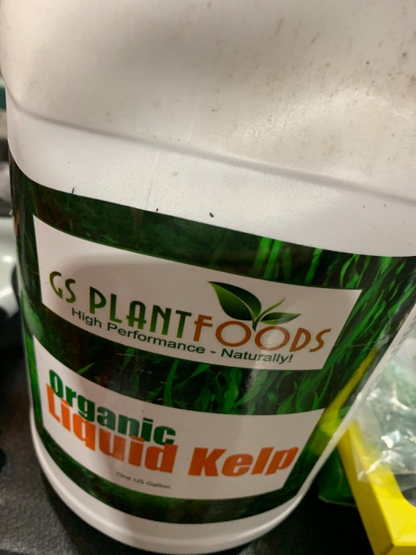 Photo 2 of GS Plant Foods Organic Liquid Kelp Plant Fertilizer (1 Gallon) Omri Organic Listed Seaweed and Kelp Fertilizer Solution Kelp Seaweed Plant and Vegetable Growth Concentrate for Gardens