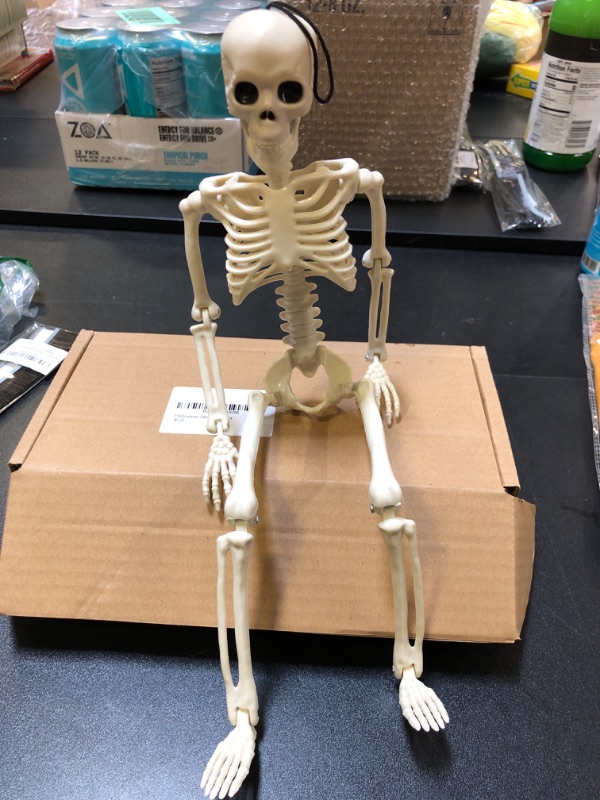 Photo 1 of 14'' 2 piece posable skeleton 