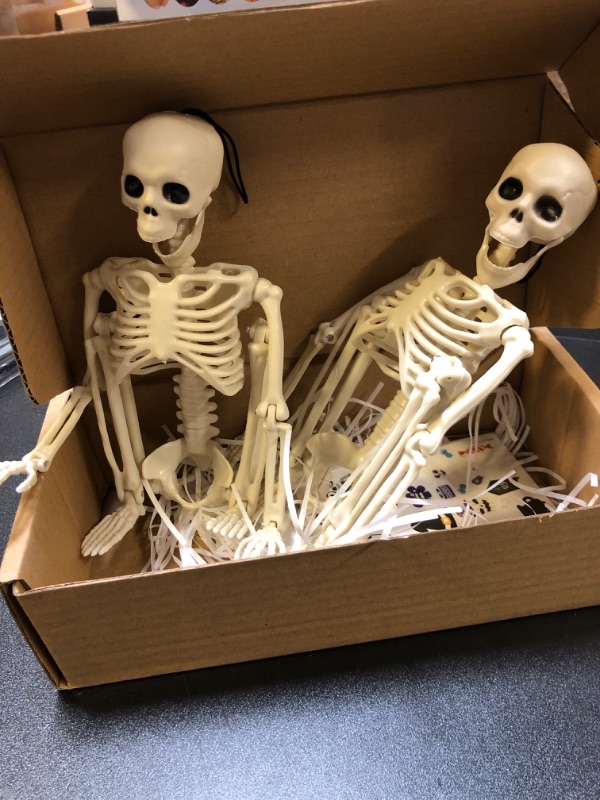 Photo 3 of 14'' 2 piece posable skeleton 