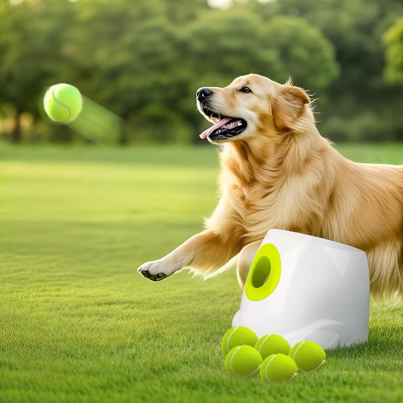 Photo 1 of AFP Automatic Dog Ball Launcher Automatic Ball Launcher for Dogs