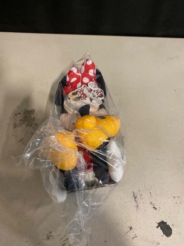 Photo 1 of Disney 2024 Minnie Mouse 2024 parade edition