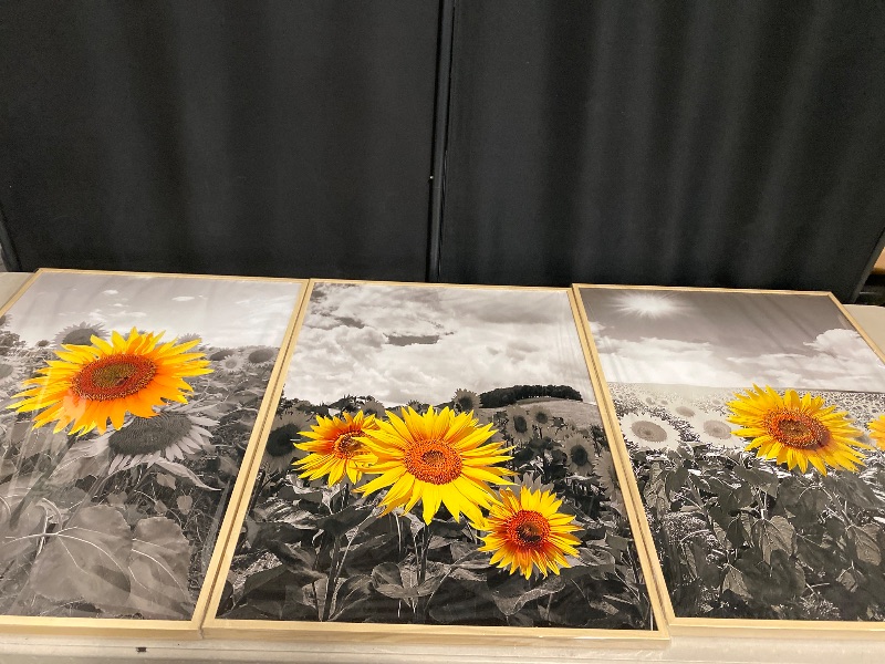 Photo 1 of hyidecorart Natural Framed Wall Art For Living Room Large Wall Decor For Kitchen Sunflower Flowers Wall Paintings Black And White Wall Pictures Artwork Bedroom Room Decor Set of 3 Piece Prints Art