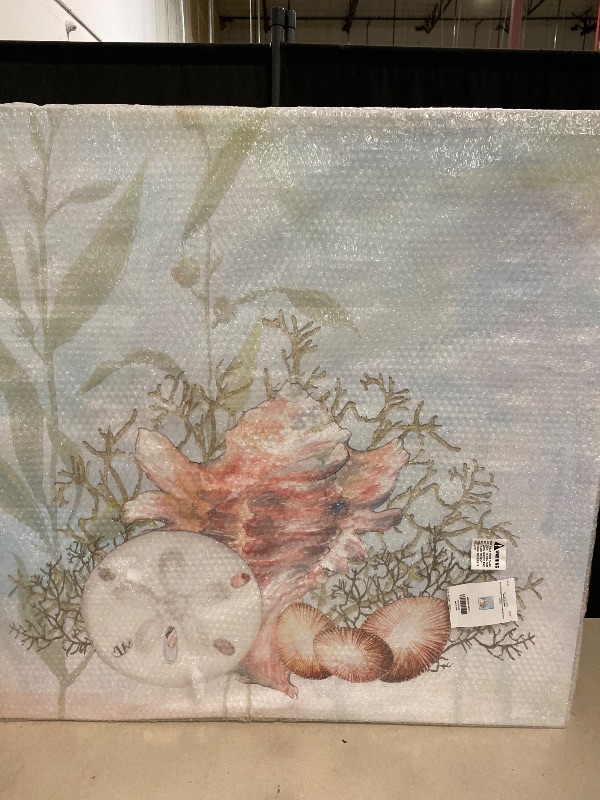 Photo 1 of Stupell Industries Sea Life Coral Seashells Botanicals Underwater Ocean, Design by Diannart, Blue, 36 x 36