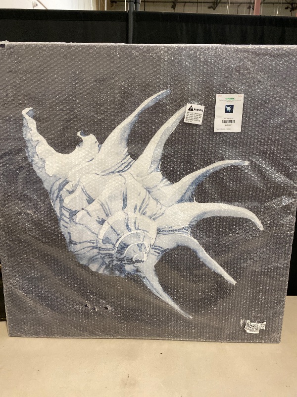 Photo 1 of Stupell Industries Cyanotype Shells Traditional Conch Canvas Wall Art, Design by Paul Brent
