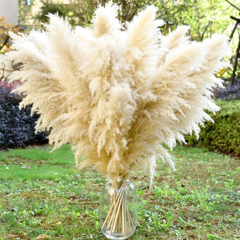 Photo 1 of 40" 11 PCS Dried Pampas Grass Decor Tall,Large Natural Beige pompas Grass,Tall Pampas Grass for Floor Vase,Wedding,Party,Farmhouse,Boho Home Decor,and Creating a Bohemian Ambiance