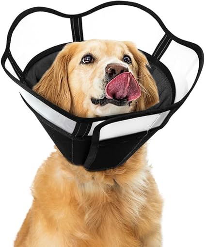 Photo 1 of   Dog Cone for Dogs After Surgery, Large