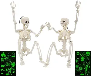 Photo 1 of QIXI Halloween Skeleton Decoration 16”, Full Body Skeleton Skeleton with Movable Joints, Halloween Decoration Gifts 2pcs
