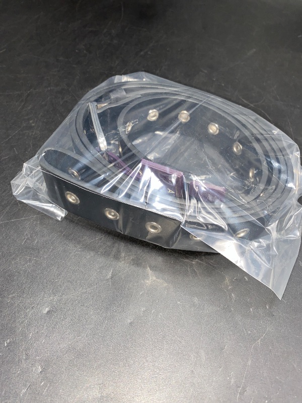 Photo 1 of 4X Women's Grommet Belt - Ava & Viv™ Black 
