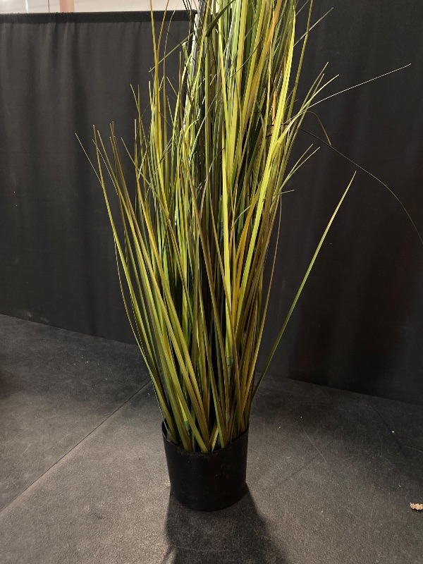 Photo 2 of Naturae Decor Black Grass Plant - Lifelike Artificial House Plant - 47 in High
