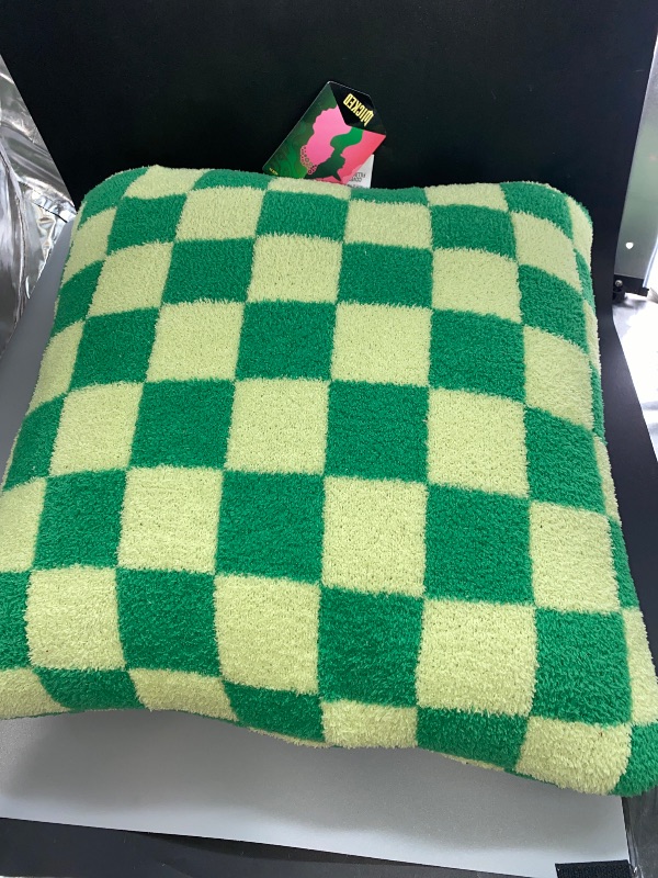 Photo 2 of Wicked Decorative Pillow Elphaba
