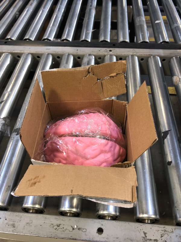 Photo 1 of Cross Section Foam Brain Model, Great Educational Tool for Learning & Teaching Human Anatomical Function, Psychology, Biology or Science, Easy to Use & Includes 2 Half Pieces Labeled with Figures