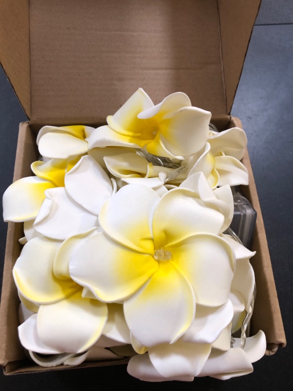 Photo 1 of 2 set yellow  Flowers Frangipani 20 LED String Light Hawaiian Foam Artificial Plumeria Flower Battery Powered Fairy Starry Lights for Wedding Beach Party