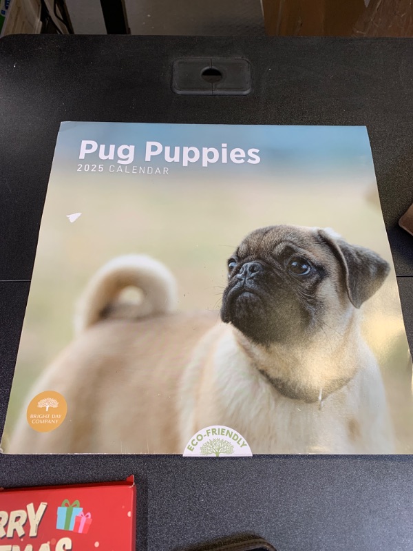 Photo 2 of 2025 Pug Puppies Monthly Wall Calendar by Bright Day, 12 x 12 Inch Cute Dog Breed Gift