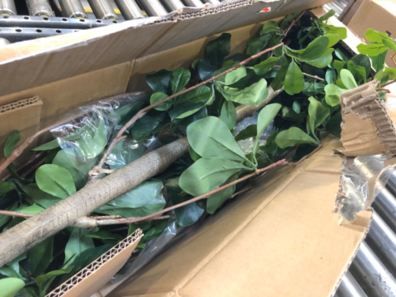 Photo 1 of Bellacat Faux Black Olive Tree 7ft, Tall Faux Trees Indoor with Natural Trunk and Realistic Leaves. 7 Feet(84in) Artificial Tree for Home Office Décor.