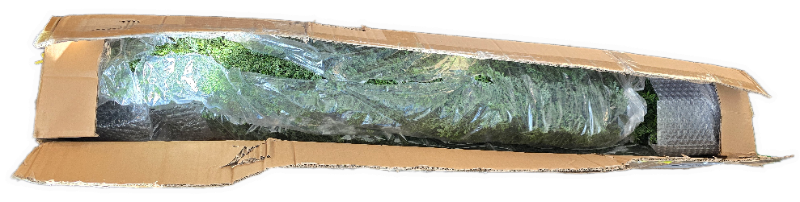 Photo 1 of Pre-Potted 3' Artificial Cedar Topiary Outdoor Indoor Tree (Pack of 2)