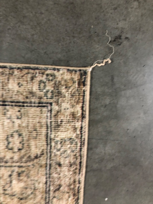 Photo 4 of ***USED DIRTY - FRAYED - NO PACKAGING - SEE PICTURES***
Loloi Margot Collection 8'-6" x 11'-6" Area Rug in Antique/Sage - Thick Low Pile Area Rug, No-Shed Easy Clean Large Patterned Area Rug for Living Room, Bedroom, Dining Area