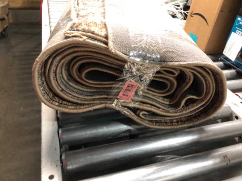 Photo 1 of ***USED DIRTY - FRAYED - NO PACKAGING - SEE PICTURES***
Loloi Margot Collection 8'-6" x 11'-6" Area Rug in Antique/Sage - Thick Low Pile Area Rug, No-Shed Easy Clean Large Patterned Area Rug for Living Room, Bedroom, Dining Area