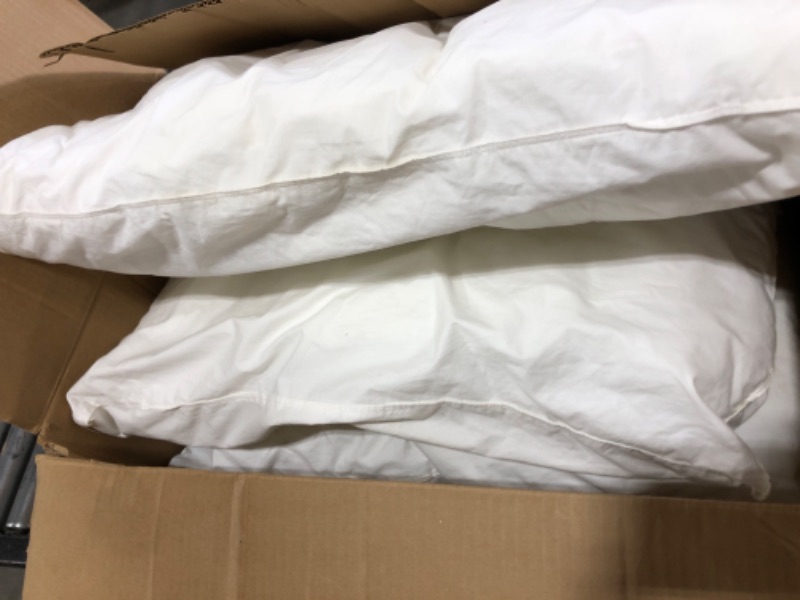 Photo 2 of 4PK WHITE PILLOWS