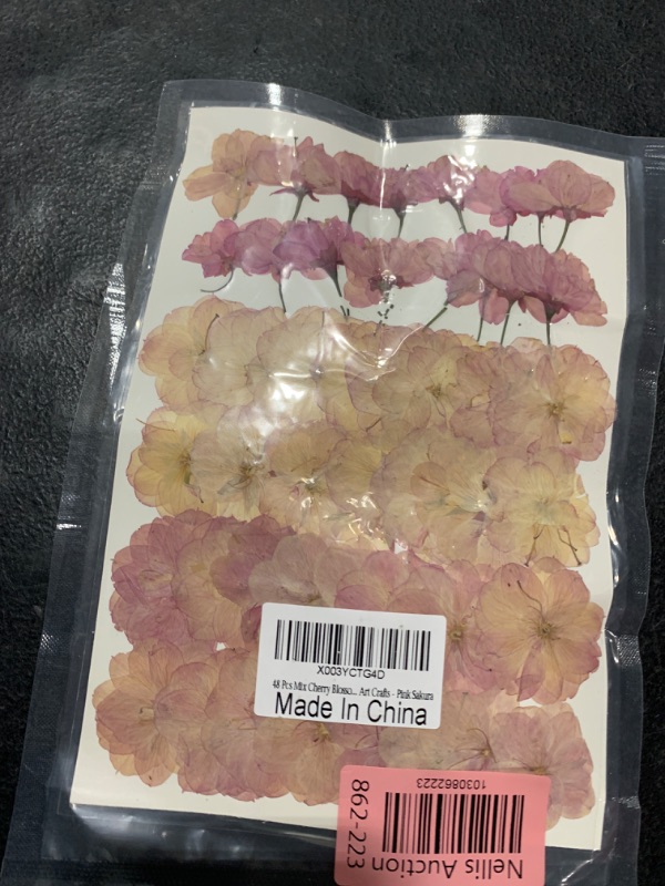 Photo 2 of 48 Pcs Mix Cherry Blossom Natural Dried Pressed Flowers for Cake Decorating, Real Dry Flower for Resin Jewelry Making, DIY Art Crafts - Pink Sakura…