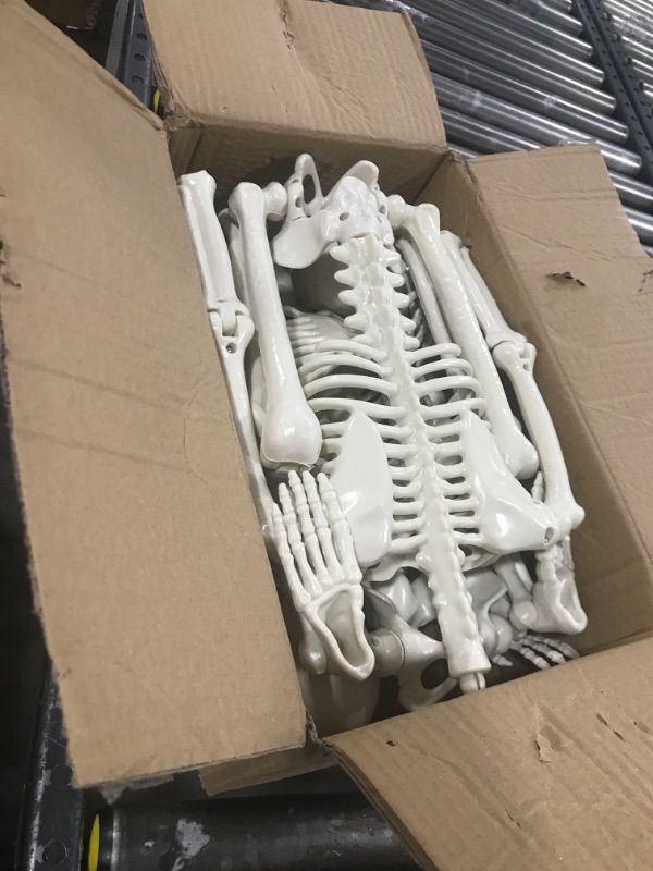 Photo 2 of 2Pcs 36" Skeleton Halloween Decorations, 3FT Realistic Full Body Movable Posable Joints Skeleton, Plastic Human Skeleton Decors for Halloween Party Haunted House Yard Supplies