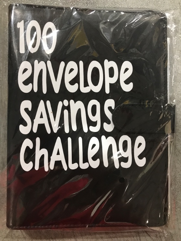 Photo 1 of 100 envelope challenge binder 