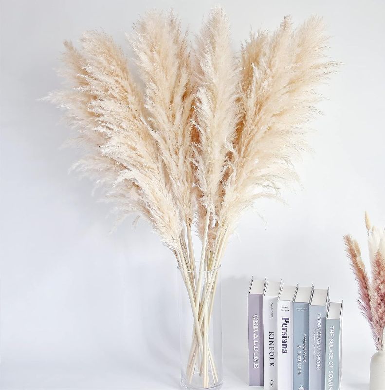 Photo 1 of 40" inch 10 Stems natural pampas grass decor tall, pompas grass, tall pampas grass for Wedding, Party, farmhouse, boho home decor