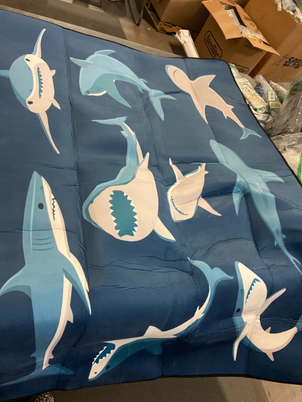 Photo 2 of ALAZA Blue Cartoon Shark Print Area Rug Rugs for Living Room Bedroom 7' x 5'