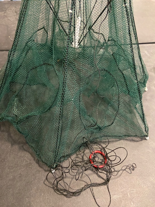 Photo 2 of BESPORTBLE 2pcs Fish Cage 6 Holes Fish Fishing Dip Cage Fishing Shrimp Fishing Bait Cast Mesh Crawfish Crawdad Shrimp Net Crab Fishing Cast Minnows Net Folding Umbrella Nylon Foldable