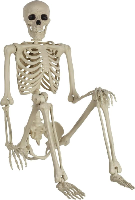 Photo 1 of Party City Life-Size Skeleton Poseable, 5ft - Full Size Skeleton Halloween Decor with Attached Cord for Hanging - Halloween Decorations for Indoor & Outdoor Use