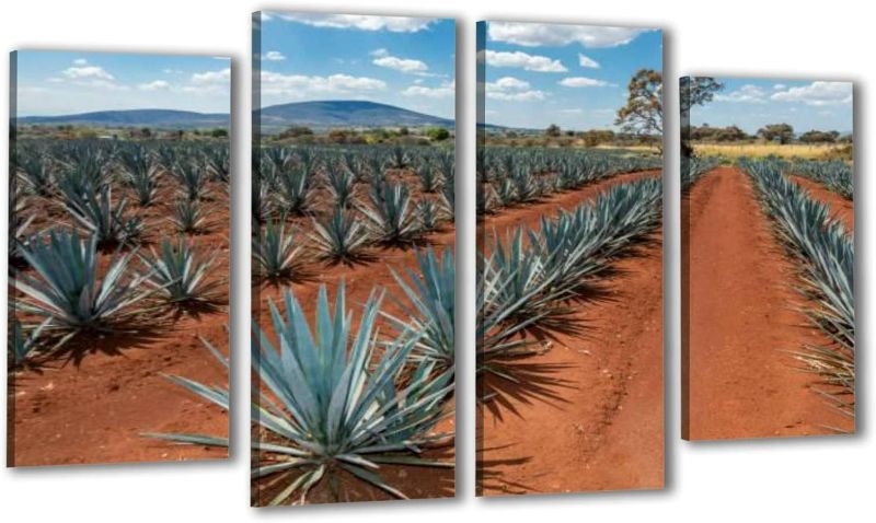 Photo 1 of Canvas Wall Art Landscape of agave plants to produce tequila Mexico Wall Decor Modern Prints Framed Artwork for Bedroom Living Room Home Decoration Ready to Hang Gift 4 pcs