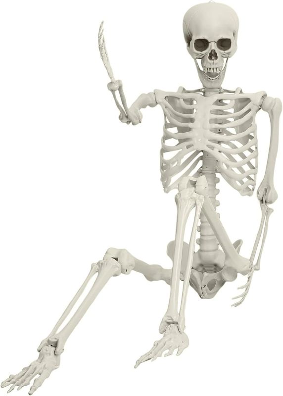 Photo 1 of 5.4ft Halloween Life Size Skeleton, Posable Halloween Skeleton Life Size, Life Size Skeleton Halloween Decor, Full Size Skeleton, Outdoor Skeleton Halloween Decorations (White)