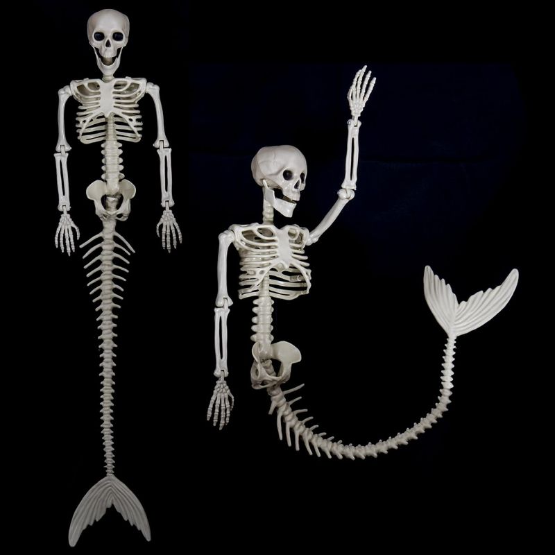 Photo 1 of HBSTK  33 Inches Mermaid Halloween Skeleton Pose-N-Stay Posable Movable Jonints Hanging for Halloween Decoration Decor Spooky Scene Party Favors