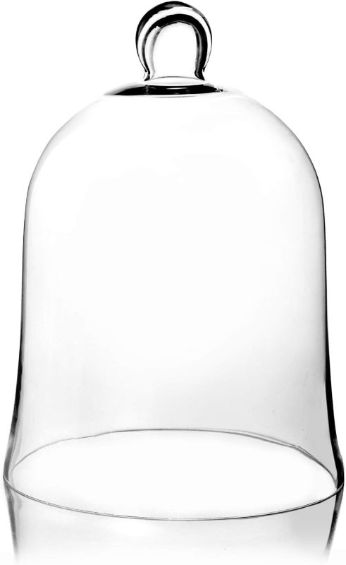 Photo 1 of CYS EXCEL Glass Bell Dome Cloche (H:16" W:12") | Multiple Size Choices Enchanted Rose Glass Cover | Cake Dessert Display | Terrarium Jar Plant Cover