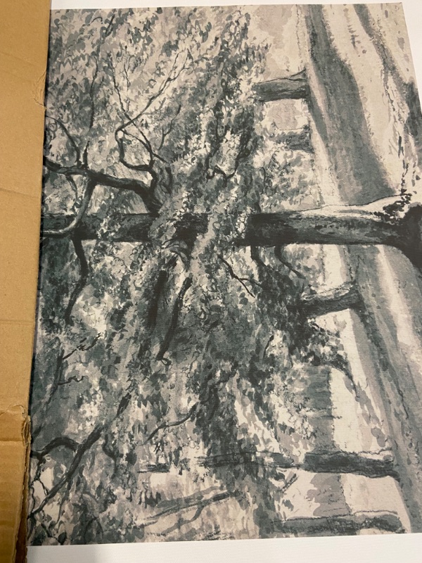 Photo 1 of KAIRNE Vintage Tree Sketch Wall Art Set, Antique Tree Drawings Wall Decor, Nature Sketch Wall Painting, Framed Botanical Canvas Art Prints for Living Room, Bedroom, Dinning Room, Farmhouse - 24"x36"x3