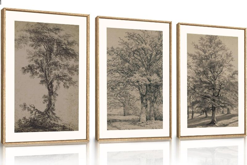 Photo 1 of KAIRNE Vintage Tree Sketch Wall Art Set, Antique Tree Drawings Wall Decor, Nature Sketch Wall Painting, Framed Botanical Canvas Art Prints for Living Room, Bedroom, Dinning Room, Farmhouse - 24"x36"x3