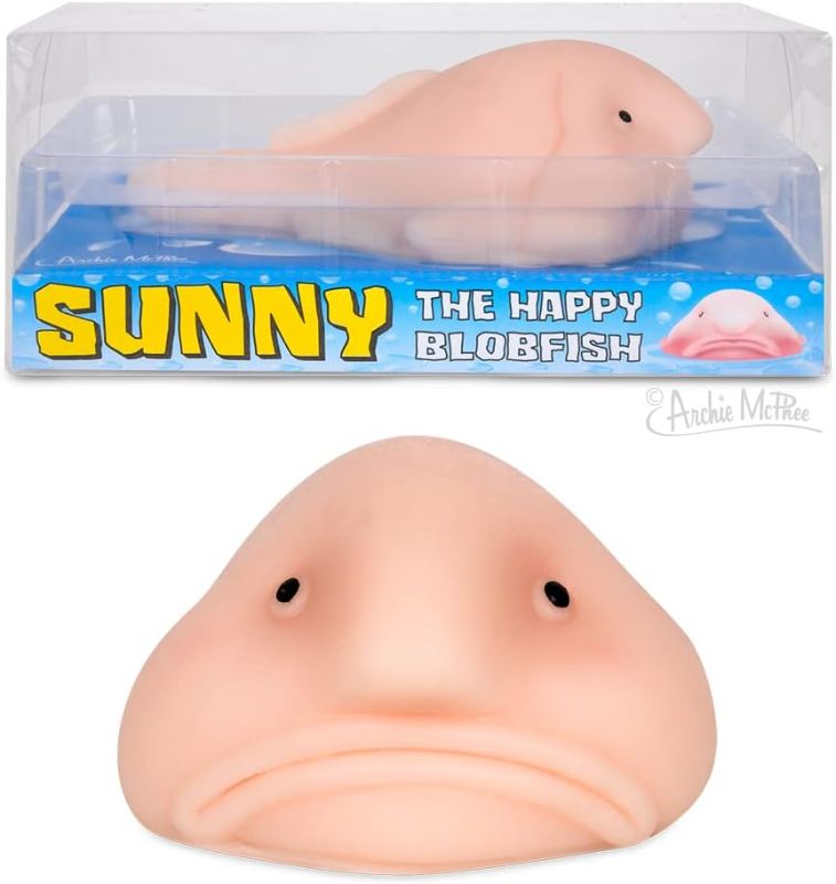 Photo 1 of Accoutrements Sunny The Blobfish - Novelty Toy- Squishy Toy