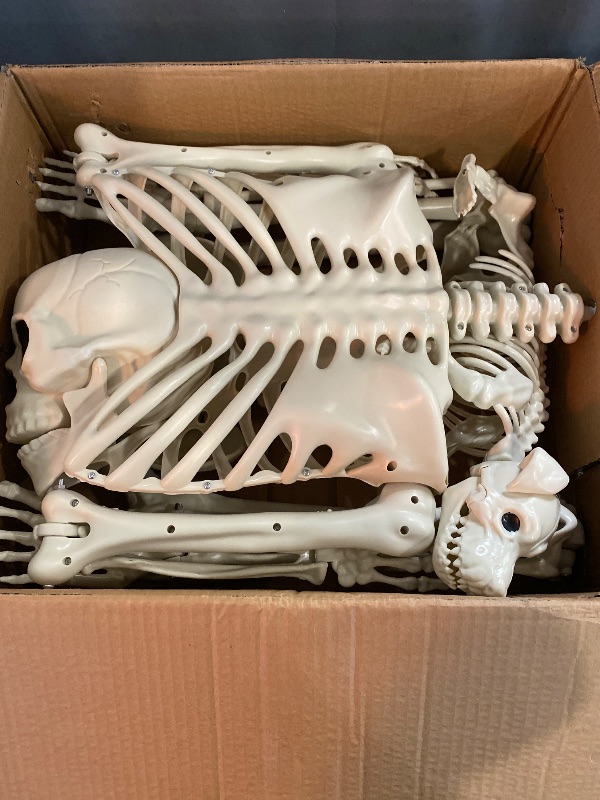 Photo 2 of Halloween Skeleton Decorations, 5.4ft Life Size Posable Skeleton with Dog Skeleton, Full Size Plastic Human Bones with Movable Joints for Haunted House Graveyard Decor