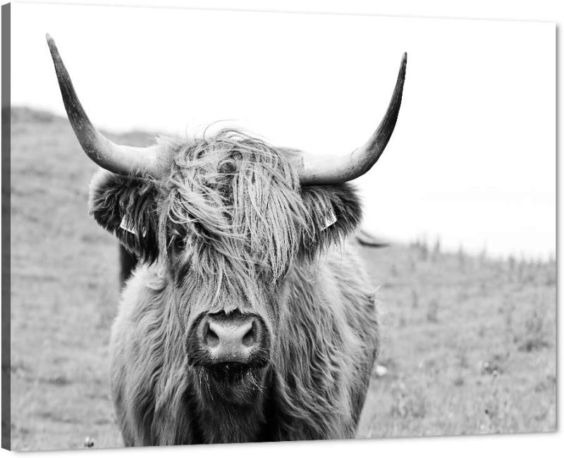 Photo 1 of Highland Cow Decor Cute Animal Canvas Wall Art Modern Home Wall Decor Zoo Decor Mural HD Scottish Cow Wall Decor Poster Living Room Highland Cow Pattern with Wooden Frame can be Hung - 24''W x 18'H