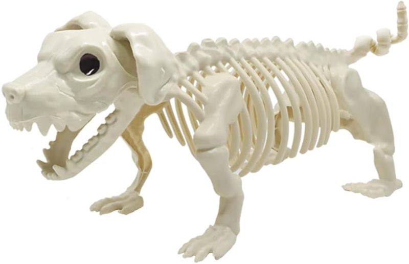 Photo 1 of Halloween Decoration Skeleton Dog, Skeleton Animal Plastic Puppy with Posable Joints for Halloween Outdoor Indoor Decoration, Haunted House Spooky Scene Party Favors Decor