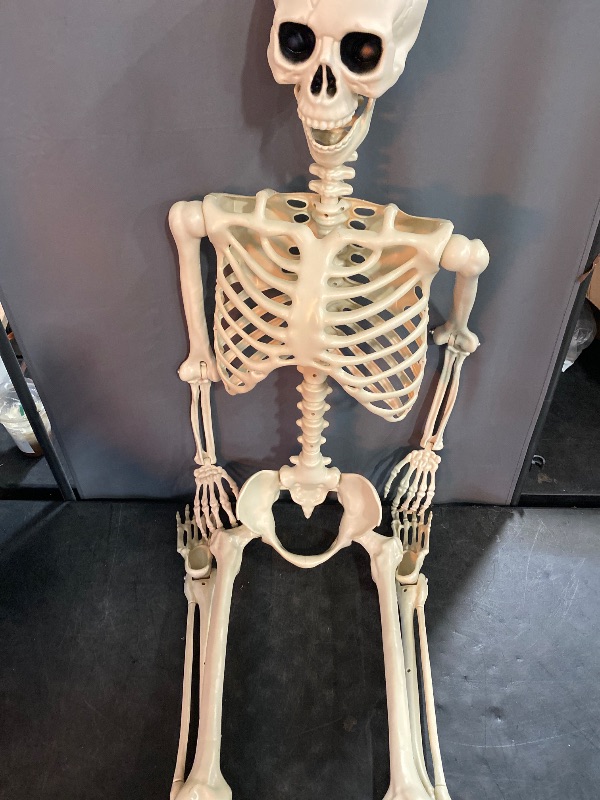 Photo 2 of Crazy Bonez Pose-N-Stay Life Size 5 FT Skeleton with Realistic Posable and Movable Joints for Halloween Indoor and Outdoor Decoration