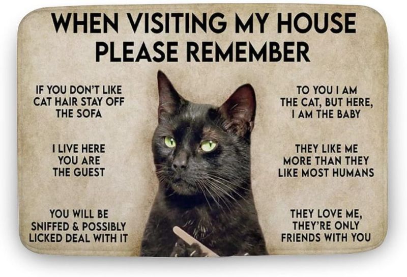 Photo 1 of When Visiting My House Please Remember Cat Horizontal Doormat, Funny Cat, Gift for Cat Lovers, Home Decor, Welcome Mat; Home Doormat,Indoor Doormat,Front Back Door Mat 16x24 inches
