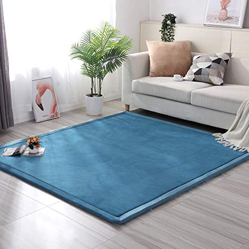 Photo 1 of Loartee Nursery Rug Coral Velvet Crawling Rugs Mat Area Rugs Play Crawling Mat(4'9"x4'9", Blue) for Toddler Children Play Mat Yoga Mat Exercise Pads Carpet
