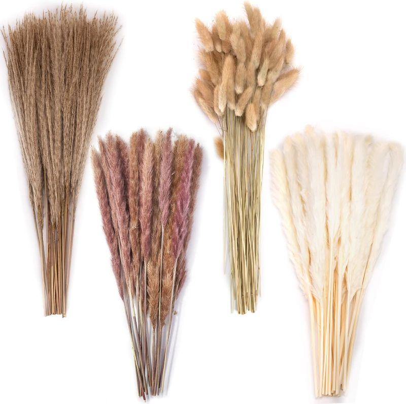 Photo 1 of DomeStar 130PCS Pampas Grass Decor, 18 inch Dried Pampas Grass Contains White Natural Bunny Tail Grass, Boho Bouquet Decor for Home Table Vase Rustic Farmhouse Decor, Fall Decor Wedding Decorations