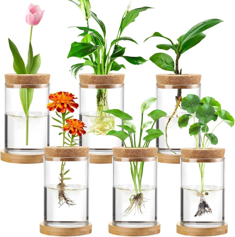 Photo 1 of 6 PCS Plant Propagation Terrarium, Desktop Glass Planter Station, Glass Plant Containers with Cork and Wooden Tray for Propagating Hydroponic Plants Centerpiece Office Home Garden Decor