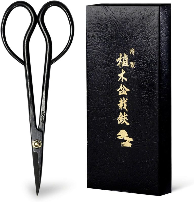 Photo 1 of Hanafubuki Wazakura Satsuki Bonsai Scissors Made in Japan 7 inch (180 mm), Japanese Bonsai Garden Tools, Hasami Pruning Shears