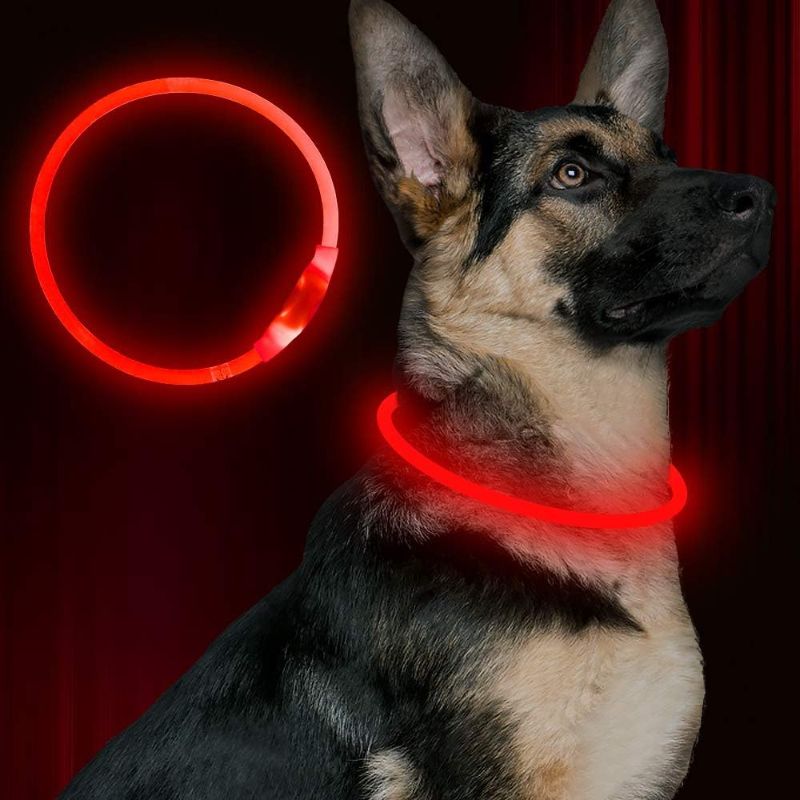 Photo 1 of Led Dog Collar, BSEEN USB Rechargeable Flash Dog Necklace Light, Pet Safety Collar Makes Your Beloved Dogs Be Seen at Night for Small Medium Large Dogs(Red)