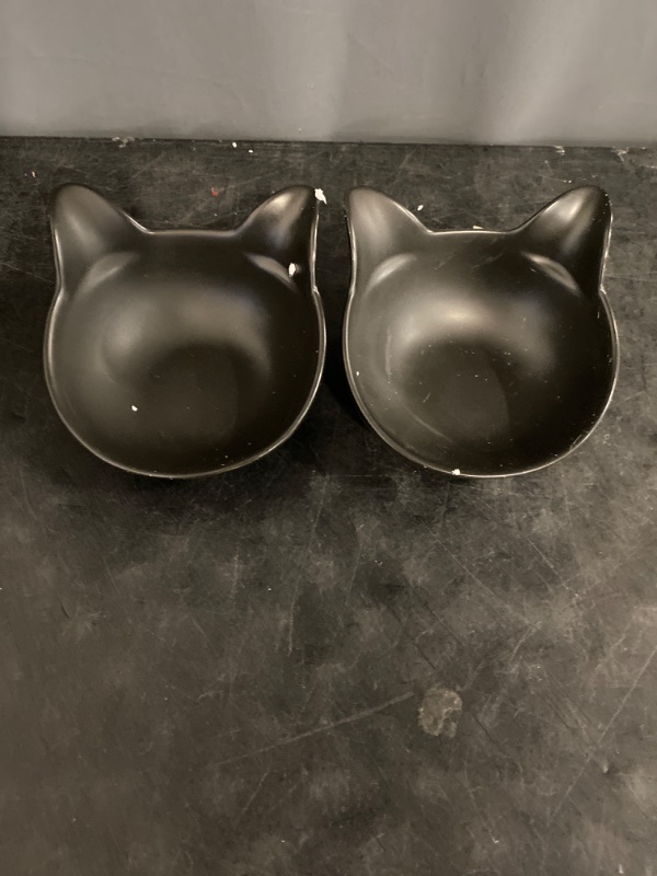 Photo 2 of Elevated Cat Bowls,Double Cat Dog Bowls,15°Tilted Raised Cat Bowls,Cat Food Bowls Protective Cat Feeder Bowl for Cats and Small Dogs