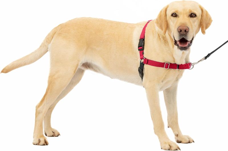 Photo 1 of PetSafe Easy Walk No-Pull Dog Harness - The Ultimate Harness to Help Stop Pulling - Take Control & Teach Better Leash Manners - Helps Prevent Pets Pulling on Walks, Large, Red/Black