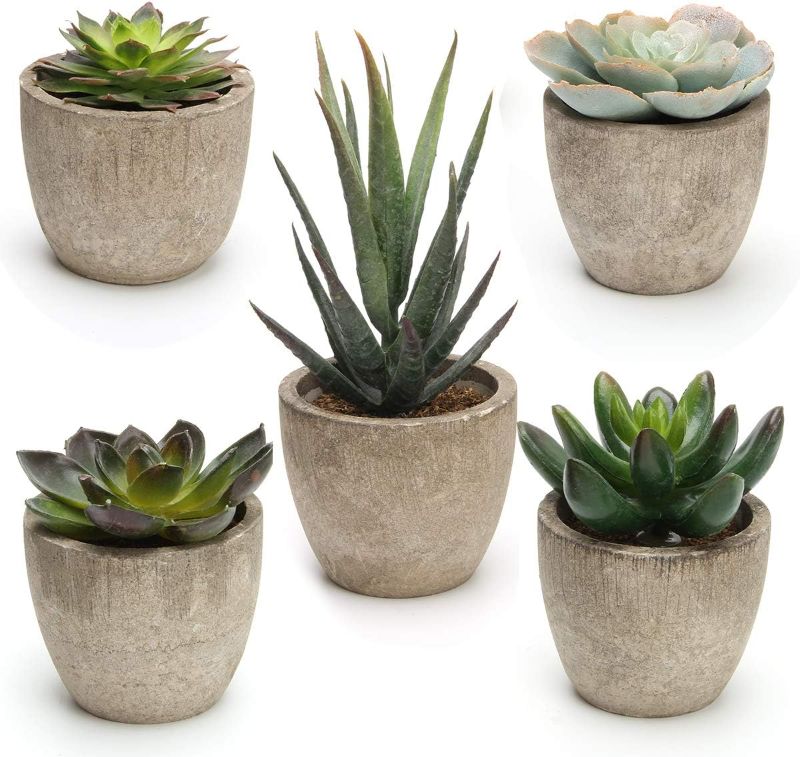 Photo 1 of Coitak Artificial Succulent Plants Potted, Assorted Decorative Faux Succulent Potted Fake Cactus Cacti Plants with Pots, Set of 5